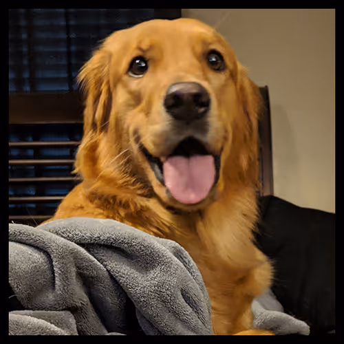 Item #106495276592435919470568425369488009874844936823784433162656833189659105296385 Media