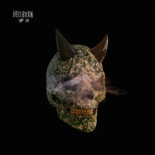 16790645883950368338919002910631071553264923504787823977361287984190846926849