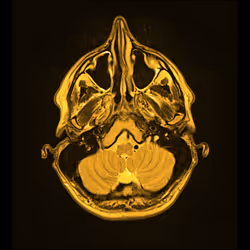 64162533542198579898252916190583583845604629893829087458582975764484203741185