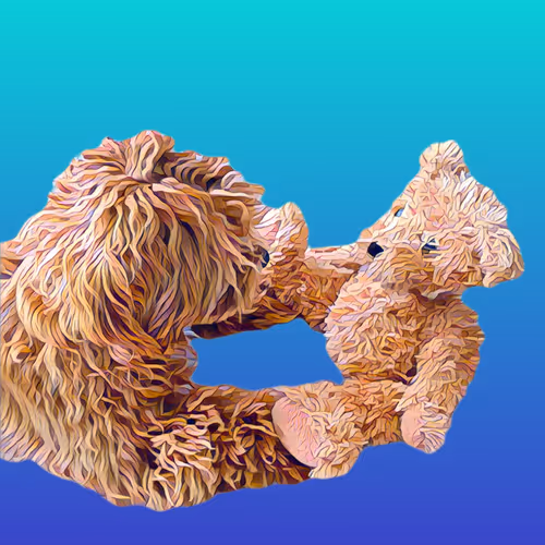 Metaversemaltipoo