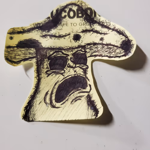 USeena_eth Collection