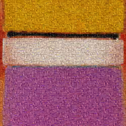 White center yellow pink and lavender on rose / picture