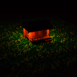 house in the forest