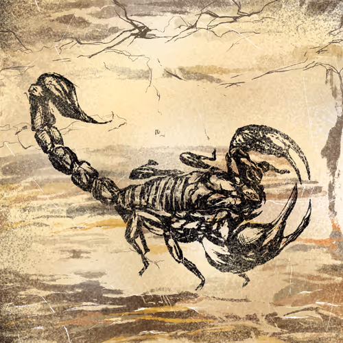 Item #42505435092464023240037635020667615408483052619425791248914544108629070446593 Media