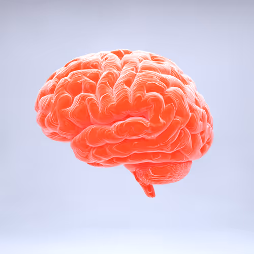 Item #77412820926303725204956055566925211190020908428863033075197849146753258881025 Media