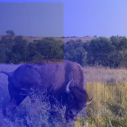 105089968166921690156624725616502706642431777719922472152070405718364244672513