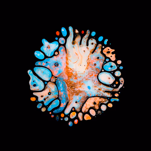 Haematopoiesis