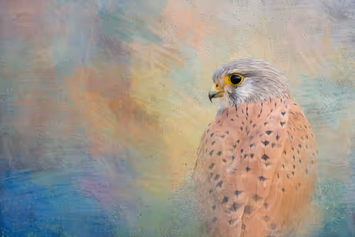 Item #20879904977050231781978559907445915739532146362246903749837269822648914804737 Media