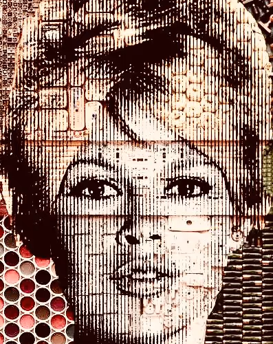 Sholaart Collection