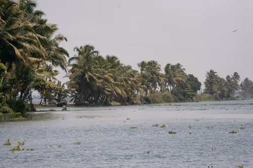 Item #36486330599558234192948007262260679931493432277950452627377023254197539176449 Media