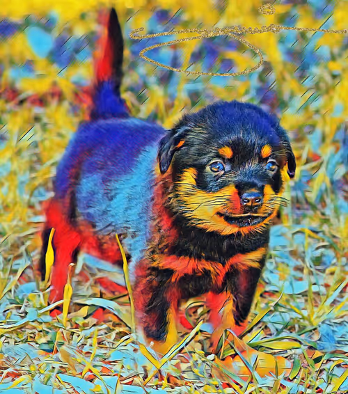 Item #24515379016287833430110687259411372809394655166763807580583558302695354793985 Media