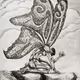 Soul_Face Collection