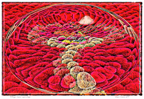 Item #11017776651197561377596972513232318538951070019919471549436519142428080340993 Media