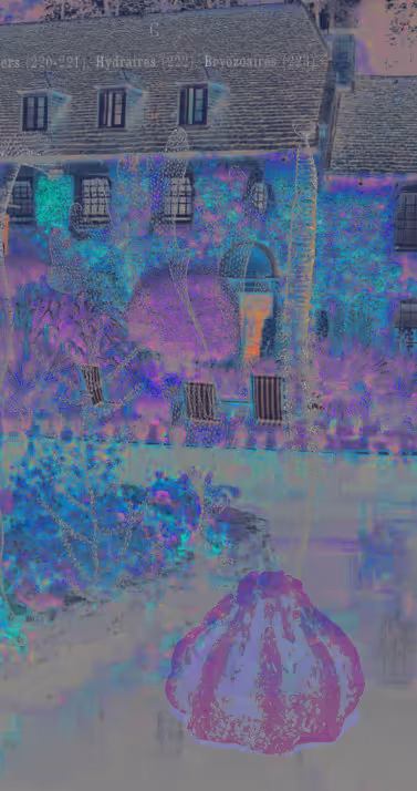 Item #91754164606506966575596469571565985485613429950187136926502423099100853436417 Media