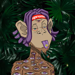 MONKEYHYPE #2262