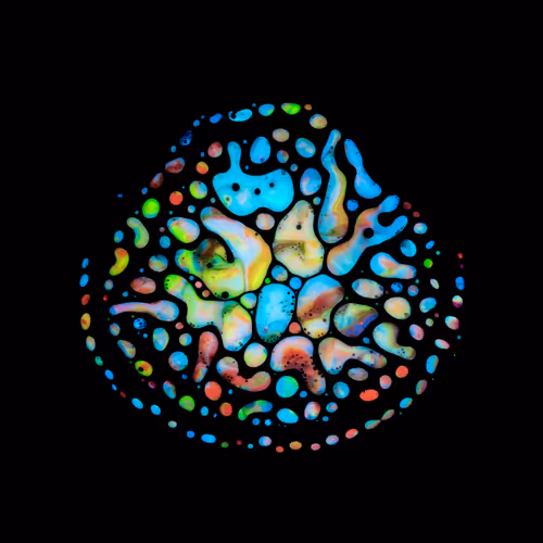 Haematopoiesis