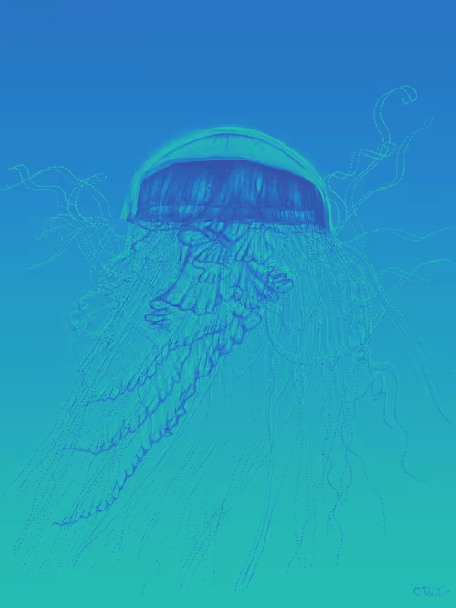 Item #113233535435930126246803406212525192330824104616936385021501681252889572409345 Media