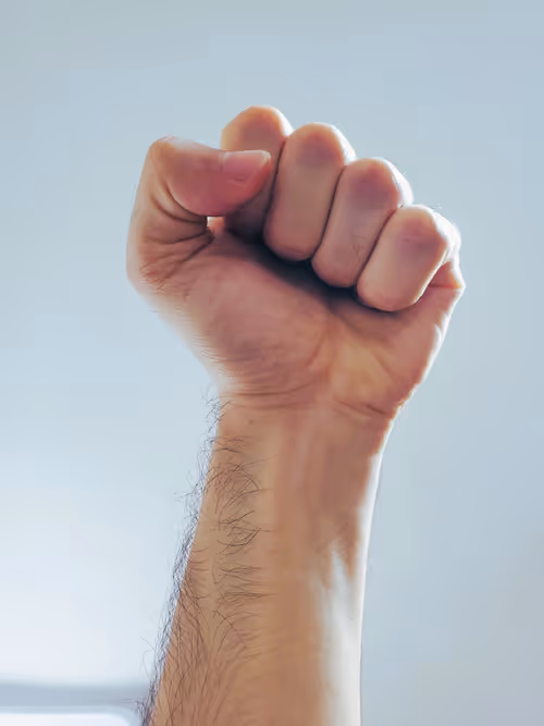 Item #56197781716024537677239957296666058743458333149567891362678828865704242970625 Media