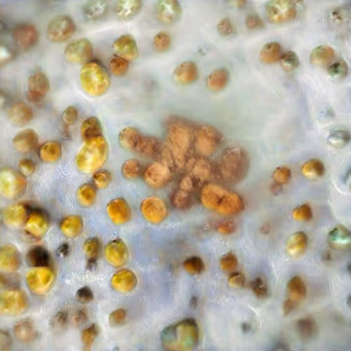 Item #101493833138293452925037003185435606984836230231700494607678448130518258024449 Media