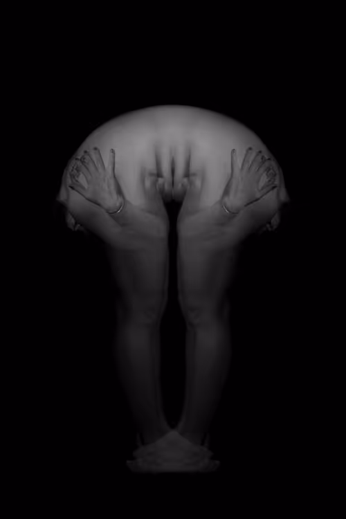 Item #24078694119739597483179371173892664508581681499738610979766924192761730039809 Media