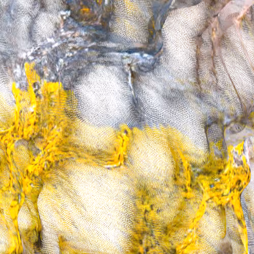 Item #107267490280634842483317670347548171509077651749826870963534851408733442932737 Media