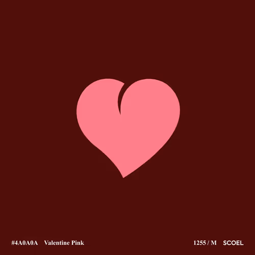 SCOEL_VLTN_255