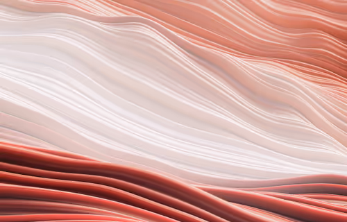 Item #53136393173006585011002931392859086814913341305608046843520083851701840248833 Media