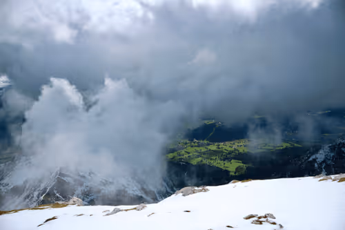 PfefferToni Collection