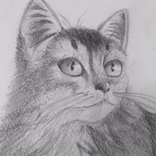 Untitled Collection #263132644 - old