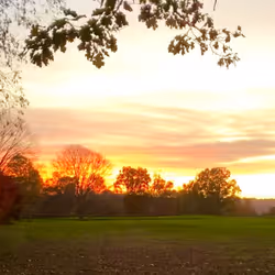 11055945869368344522239947544098935470114969223831551671463462830895775350787