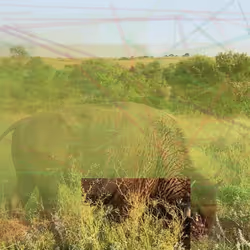 105089968166921690156624725616502706642431777719922472152070405775538849316865