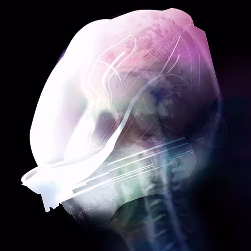 Item #66002049444266872069619480768984442164265518794664463686043637996577913569281 Media