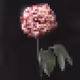 112275836418120531646960672853990787258254368012971450357043557544683175411713