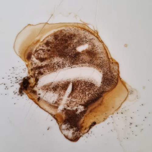 COFFEE MONSTER 