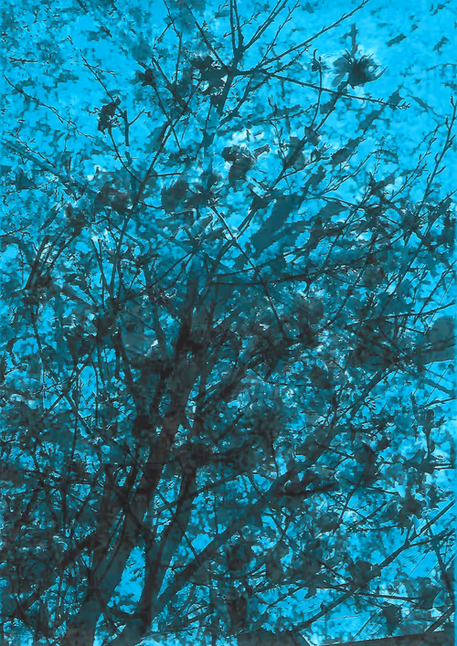 Item #40375564253889024497313303500707450347616420873030692563682046516509378871301 Media