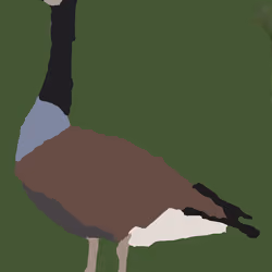 The Candian Defender 
