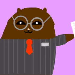 Mr Brown Bear 5/5