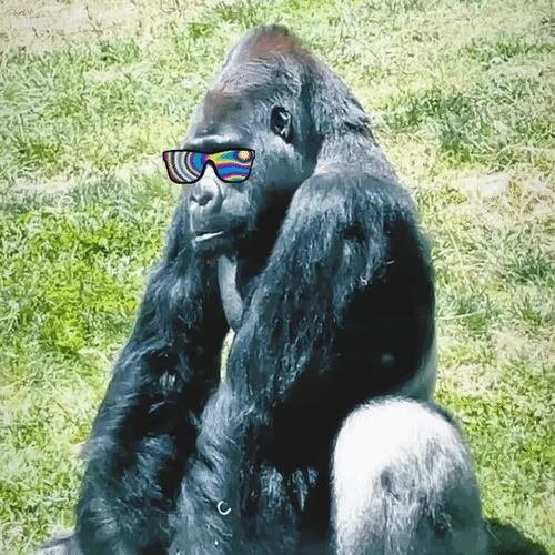 Reto gorilla - vibe