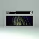 16900425500392414091634695839155038535334358022321163174842370700844415844353