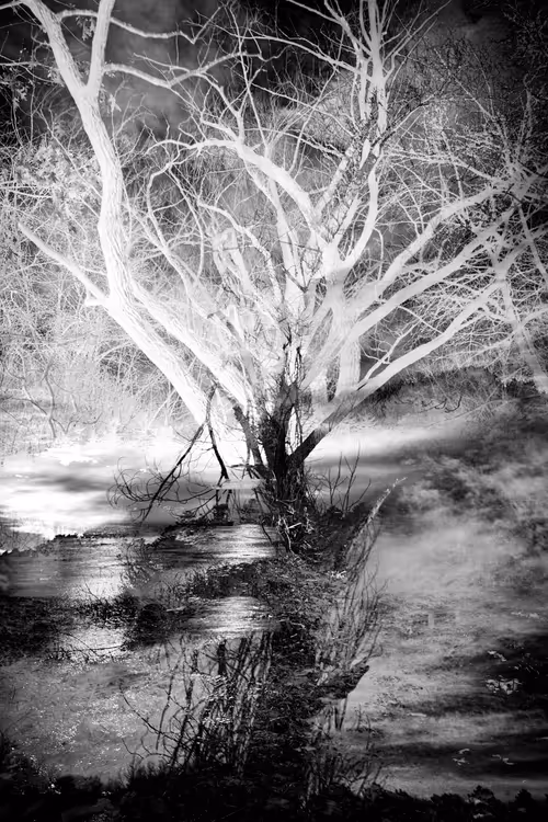 Item #43070642994582151386358674044565282189823590149162061953262107347568652451841 Media