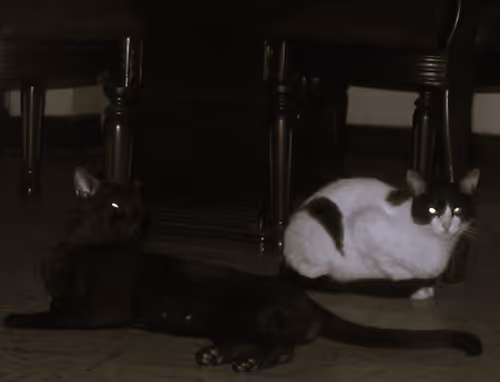 Item #5879175838948268428201801032657327376114660491039364591238139976439102963713 Media