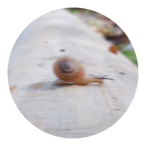 Item #73474911565276893363269127585336255498112534630235322163062143171110172098561 Media