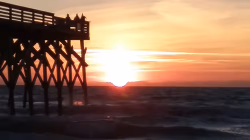 Item #31034686218974135791742659771557221930689516022793275851118188454255827877889 Media