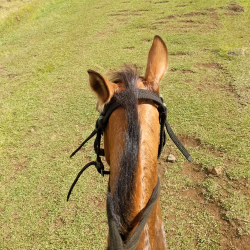 Untitled Collection #17932615