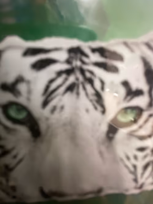 Item #104053199626750762192013145442328063295751534537150888107812889322191880978433 Media