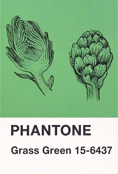 Item #23619072769629648887099014645842319039725167025197022934232545172797960224769 Media