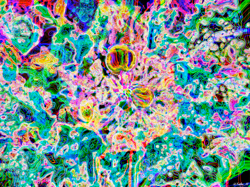 Item #52596772328572645396799225155179162658789326659101193362598998488832362414081 Media