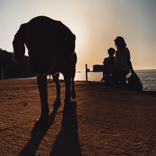 17491933445981950493603605201939822143200868578689851698191638434510473789450