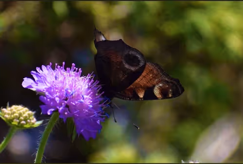 Item #90242850713282573943473333333408540290237184150123135597774242569371363835905 Media