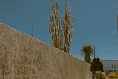 Item #59289559974989153339537177586835071468773347451990406797747693838897906712577 Media